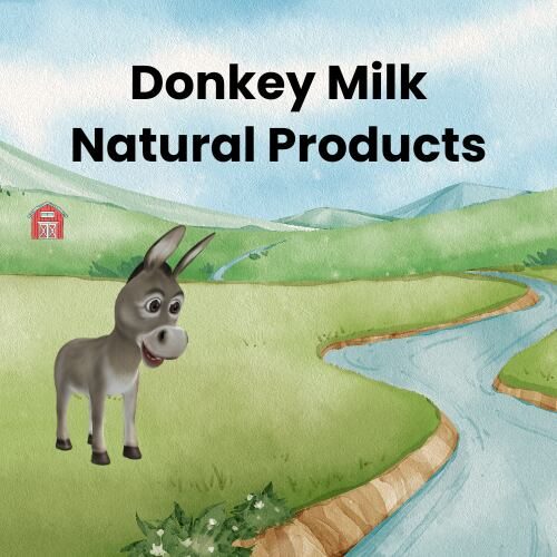 donkeymilkproducts